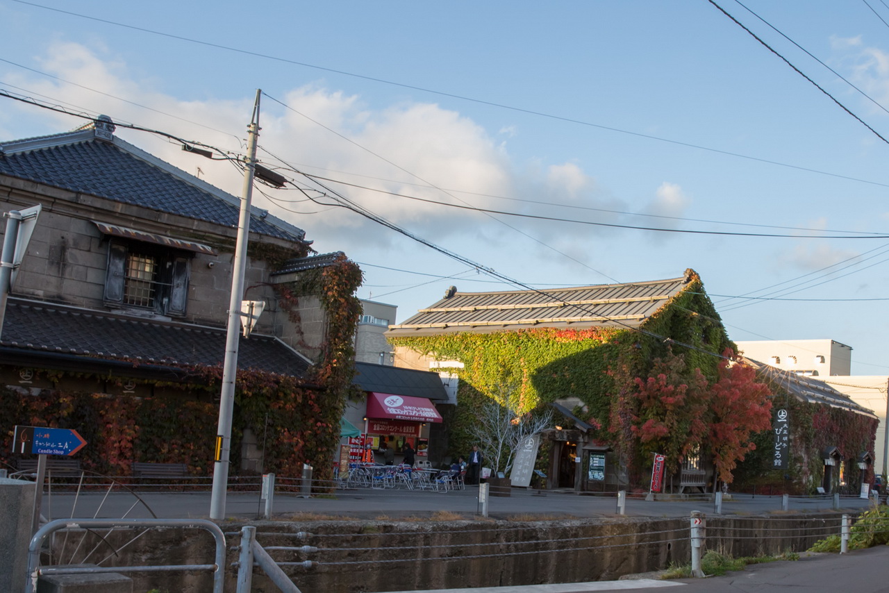 _J0A6763.jpg