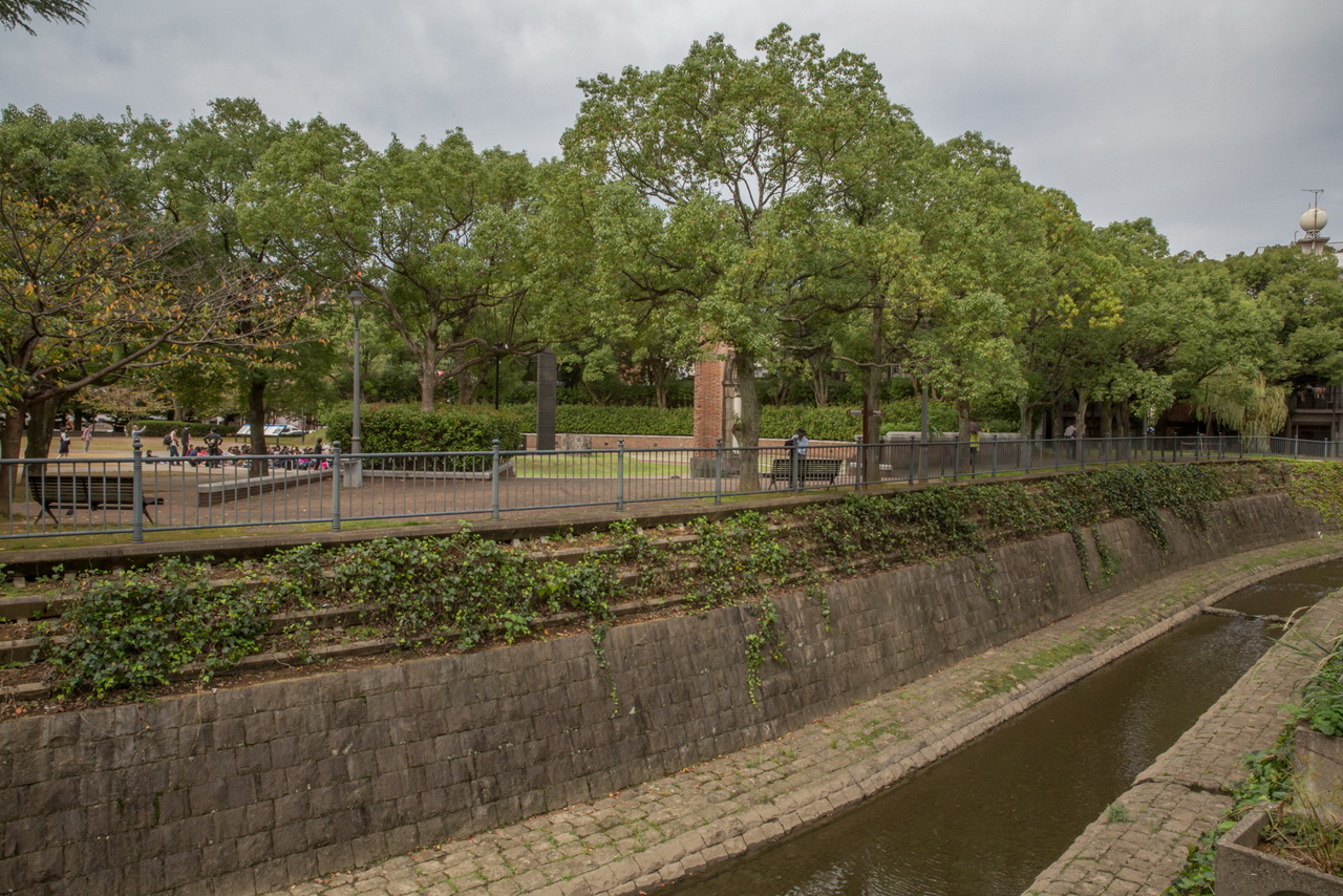 _J0A11062.jpg