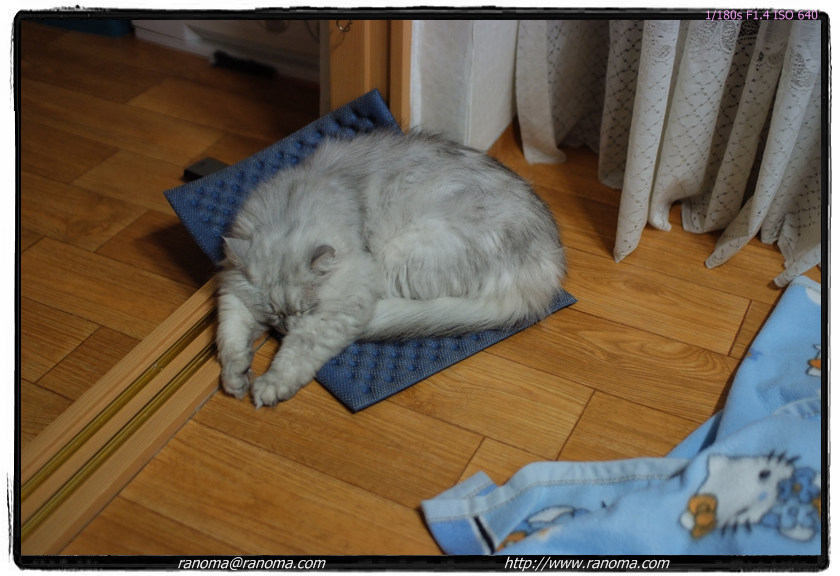 DSCF4361.jpg