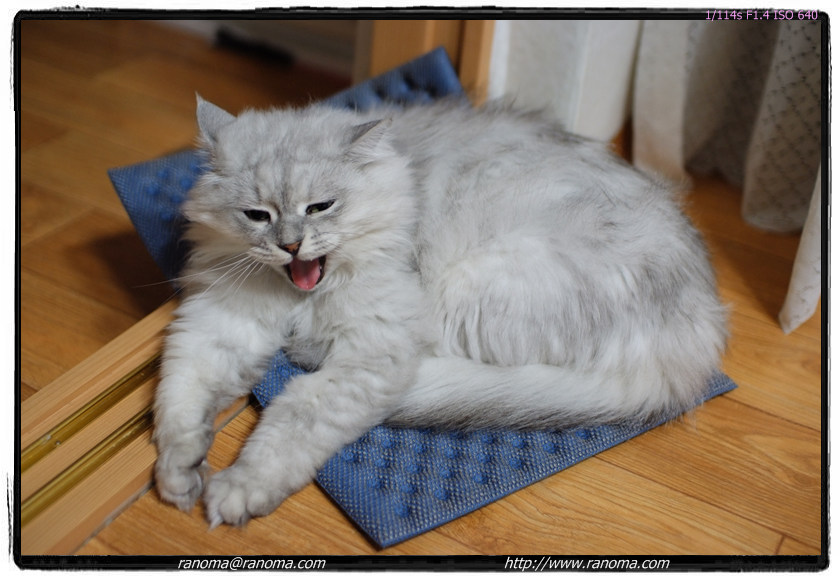 DSCF4363.jpg