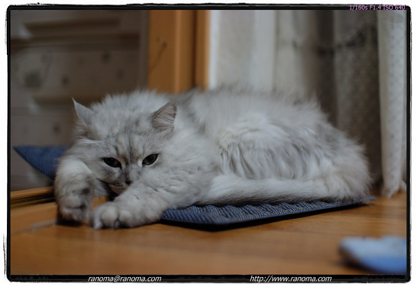 DSCF4364.jpg