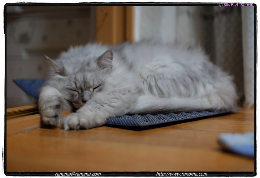 DSCF4368.jpg