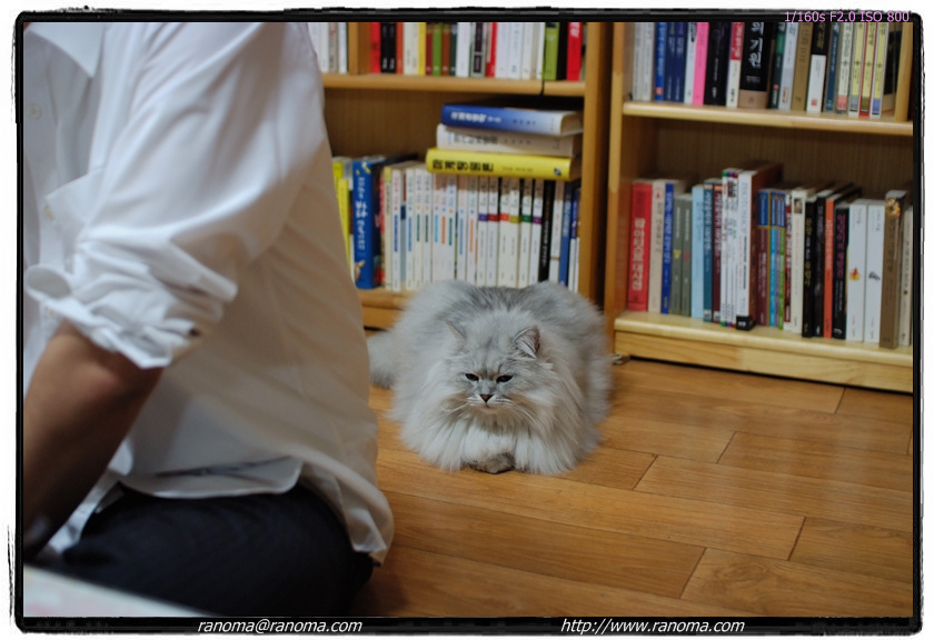 DSCF3051.jpg