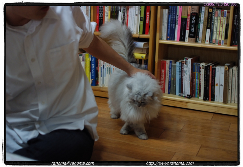 DSCF3052.jpg