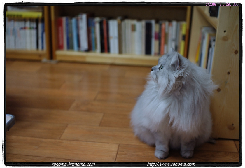 DSCF3054.jpg