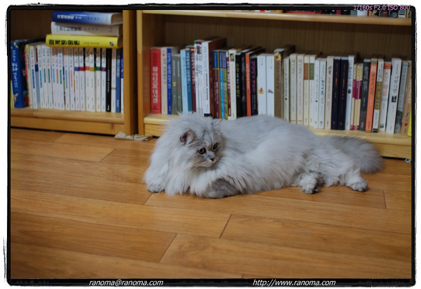 DSCF3064.jpg