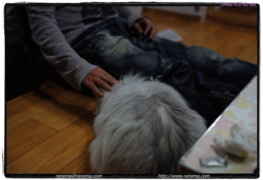 DSCF3065.jpg