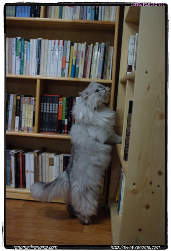 DSCF3070.jpg