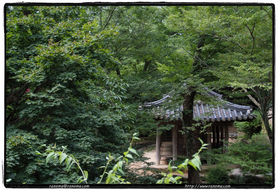 DSCF9182.jpg