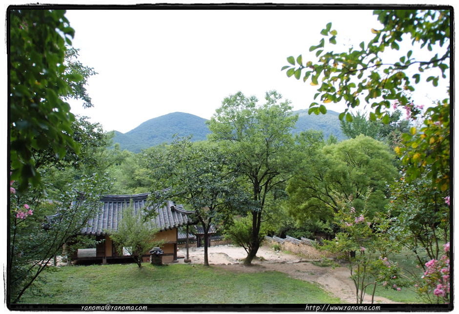 DSCF9190.jpg