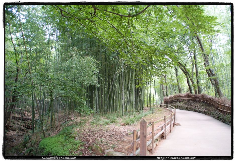 DSCF9173.jpg