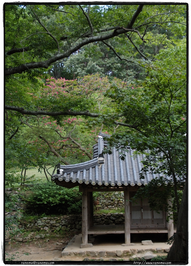 DSCF9177_crop.jpg