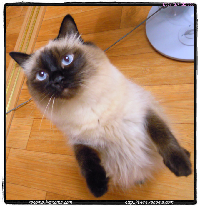 DSCN0592_crop.jpg