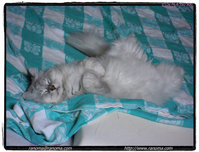 DSCN0608.jpg