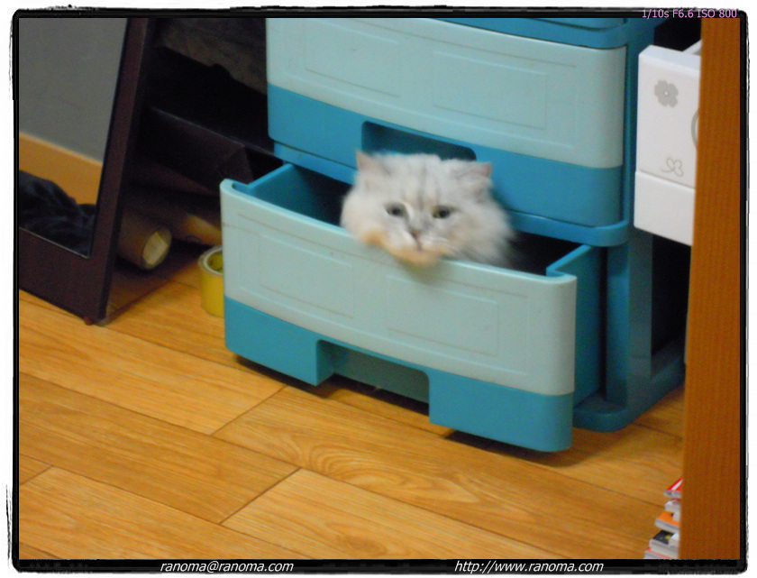 DSCN0736.jpg