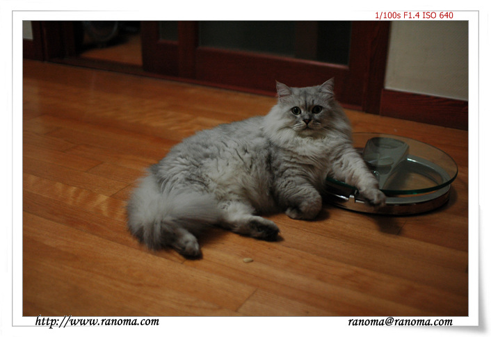 DSC_1334.jpg