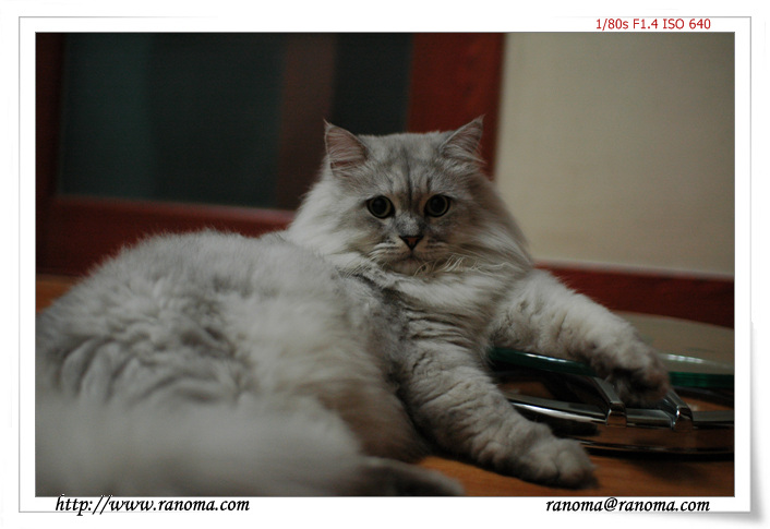 DSC_1346.jpg