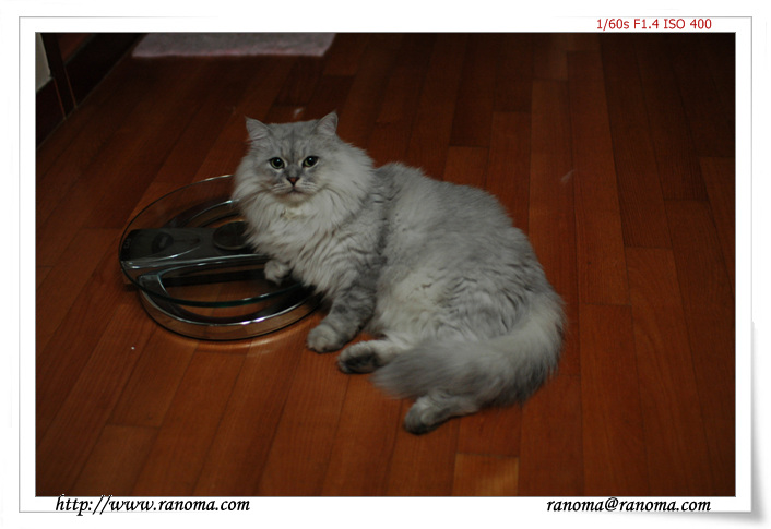 DSC_1348.jpg