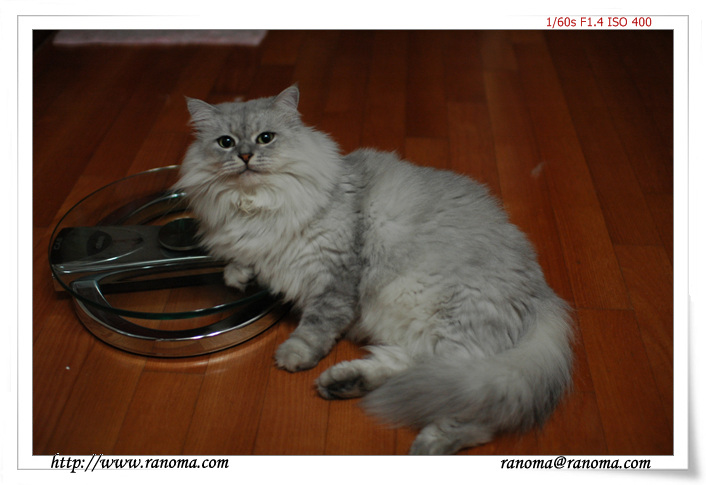 DSC_1349.jpg