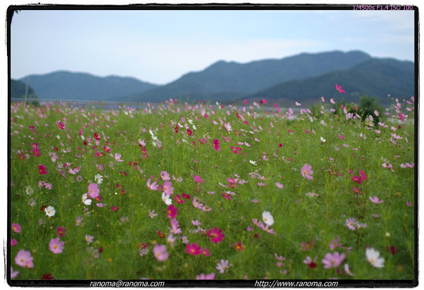 DSCF5529.jpg