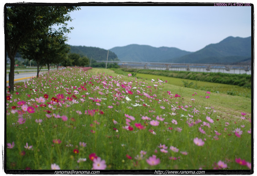 DSCF5534.jpg