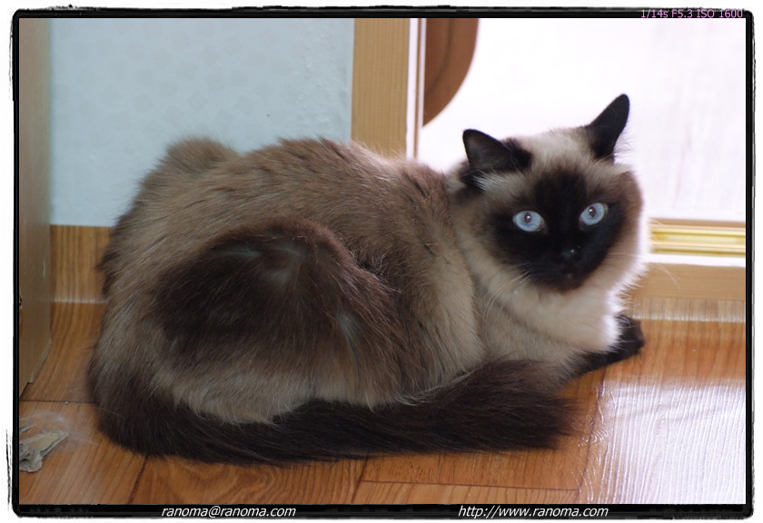 DSCF3073.jpg