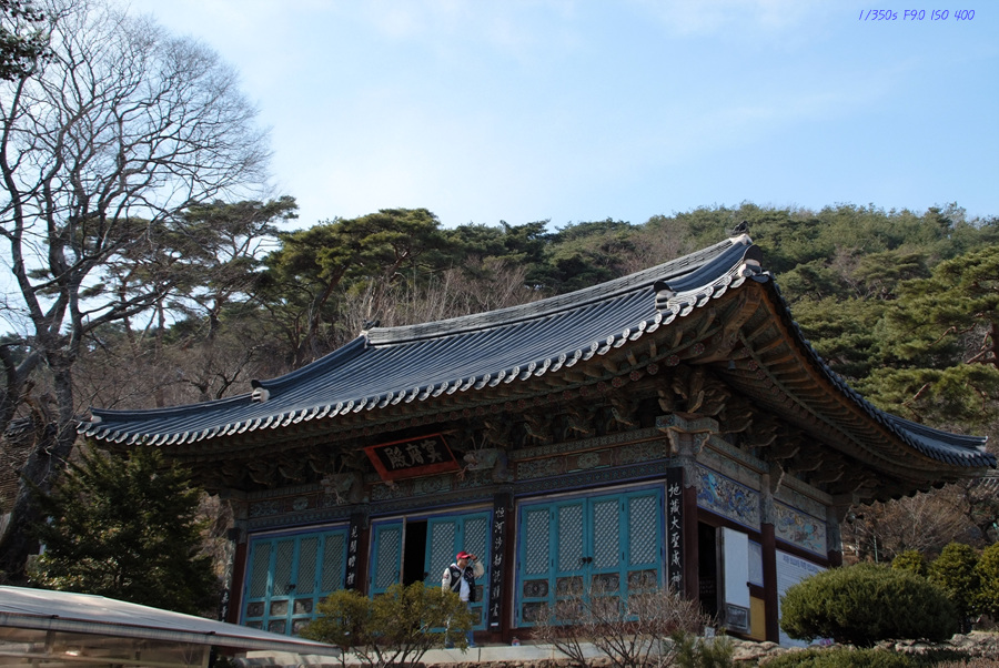 DSCF0394.jpg
