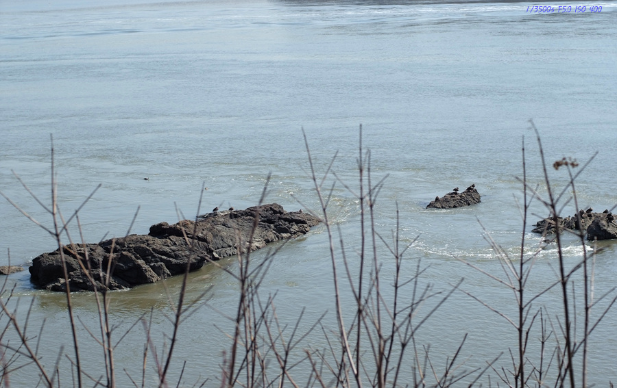 DSCF0336.jpg