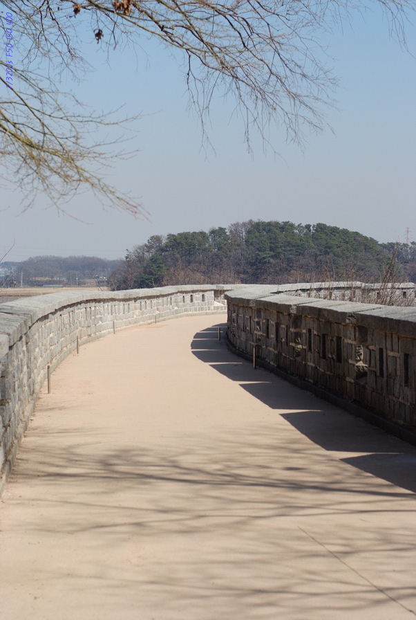 DSCF0331.jpg
