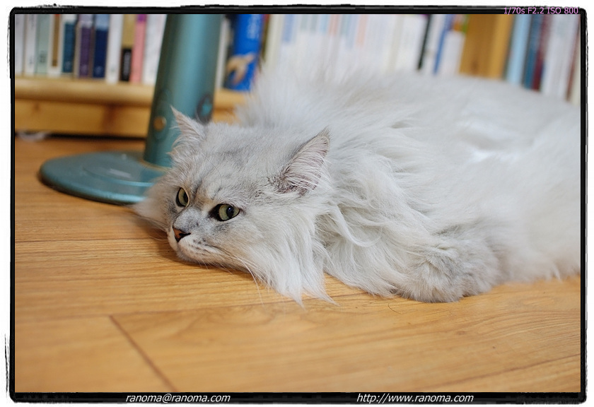 dscf3545.jpg
