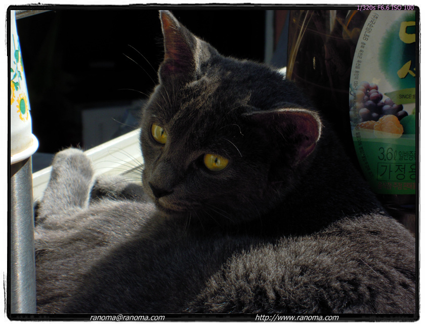 DSCN0012.jpg