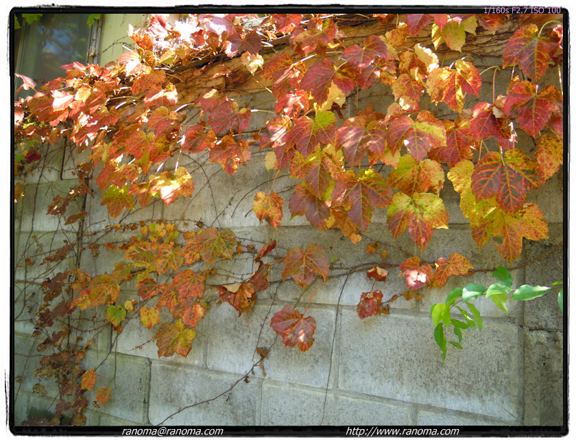 DSCN0017.jpg