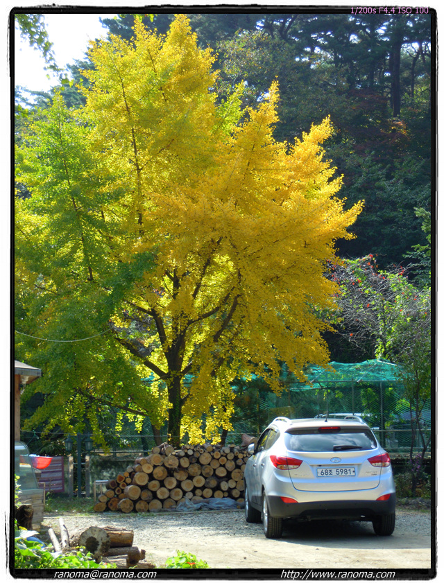 DSCN0018.jpg