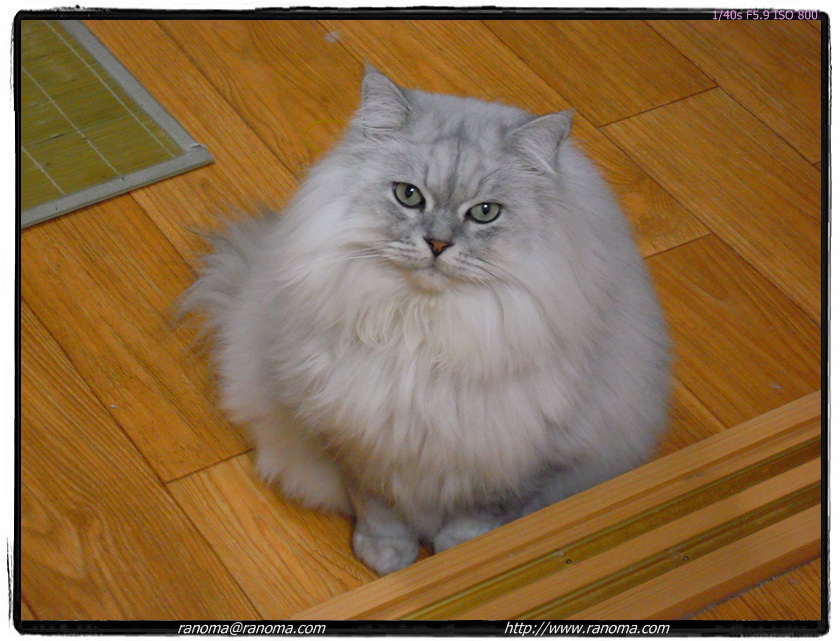 DSCN0631.jpg