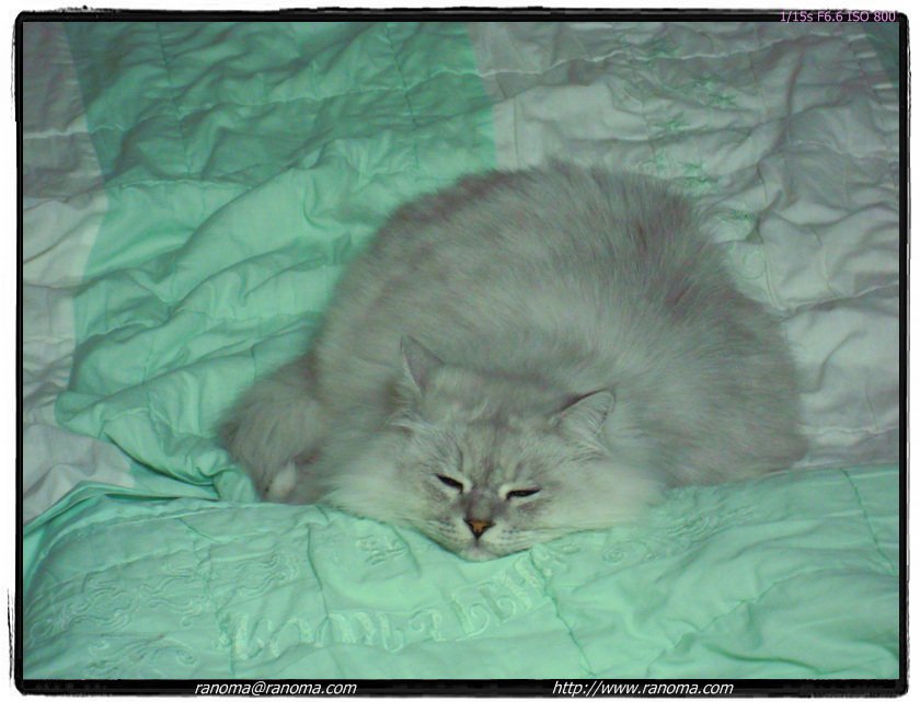 DSCN0031.jpg
