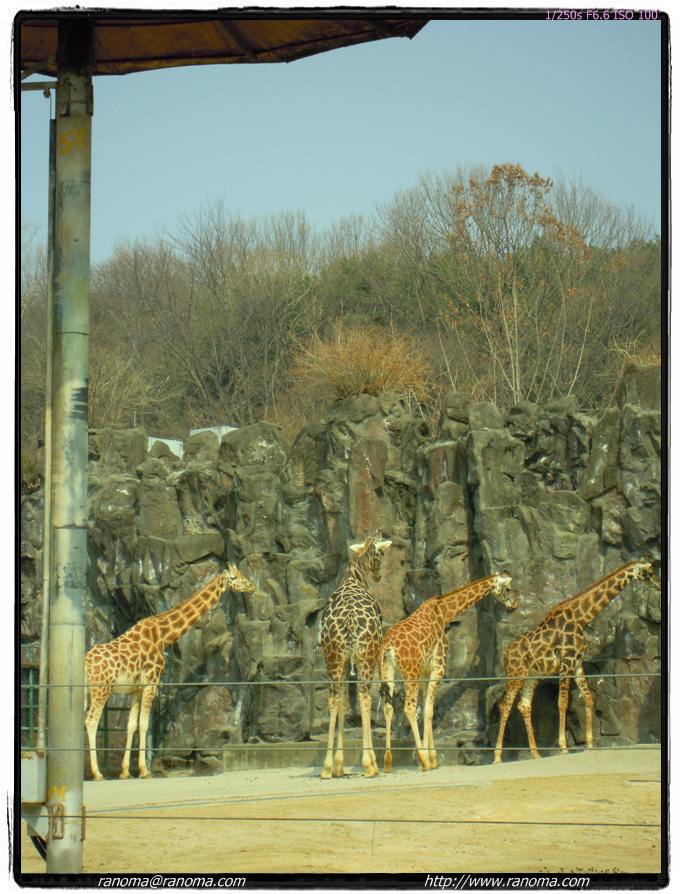 DSCN0475.jpg