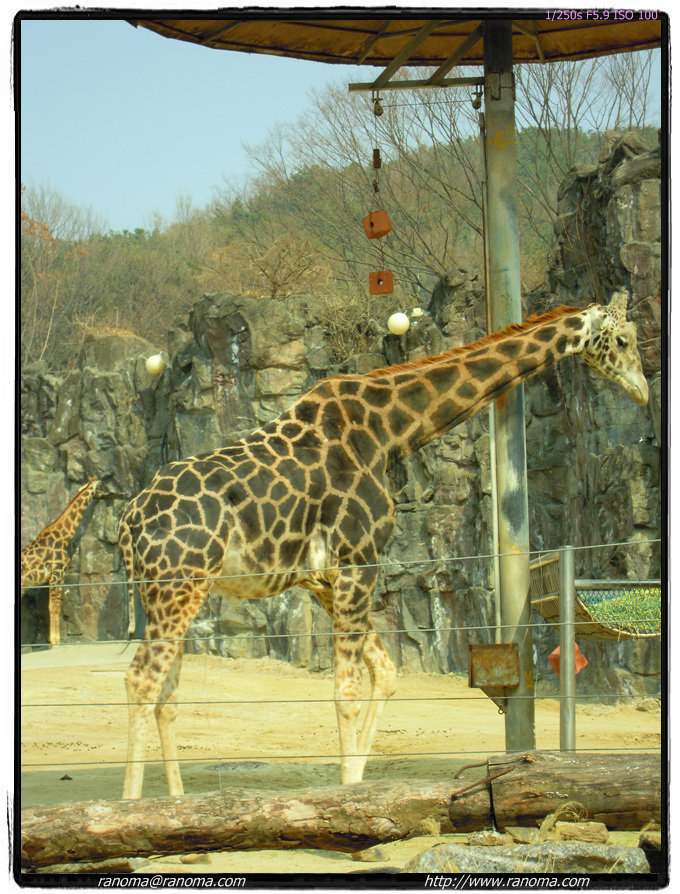 DSCN0478.jpg