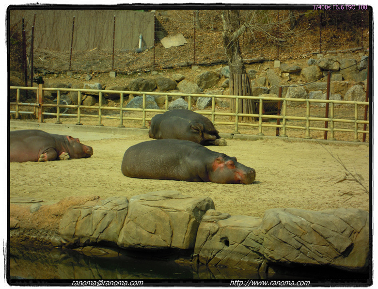 DSCN0480.jpg