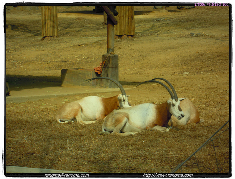 DSCN0483.jpg