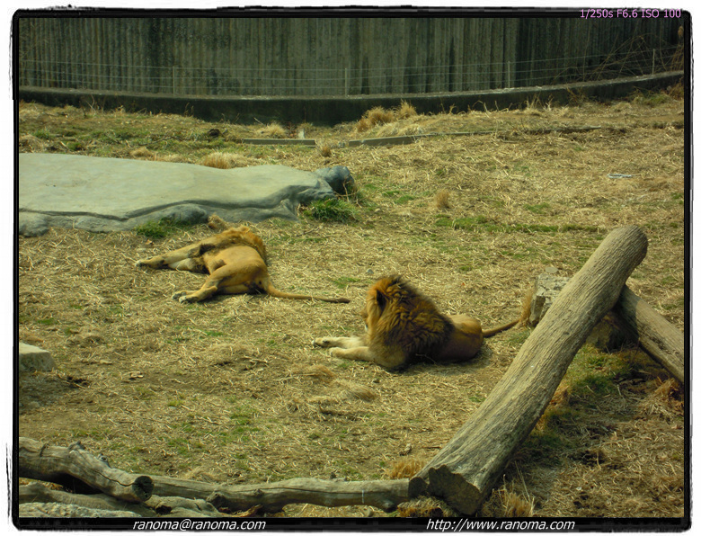 DSCN0484.jpg