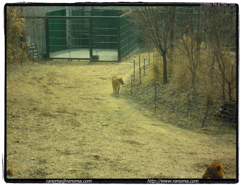 DSCN0485.jpg