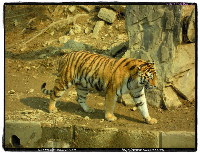 DSCN0497.jpg