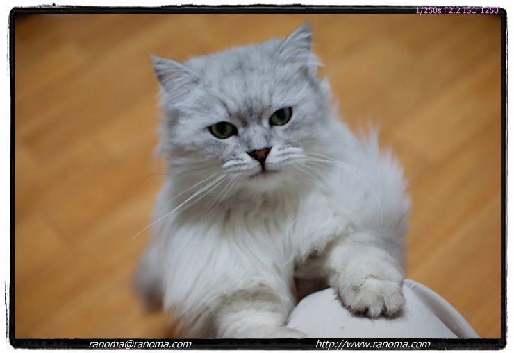 DSCF3093.jpg
