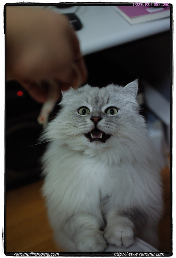 DSCF3094.jpg