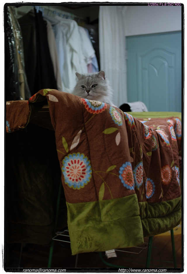 DSCF7121.jpg