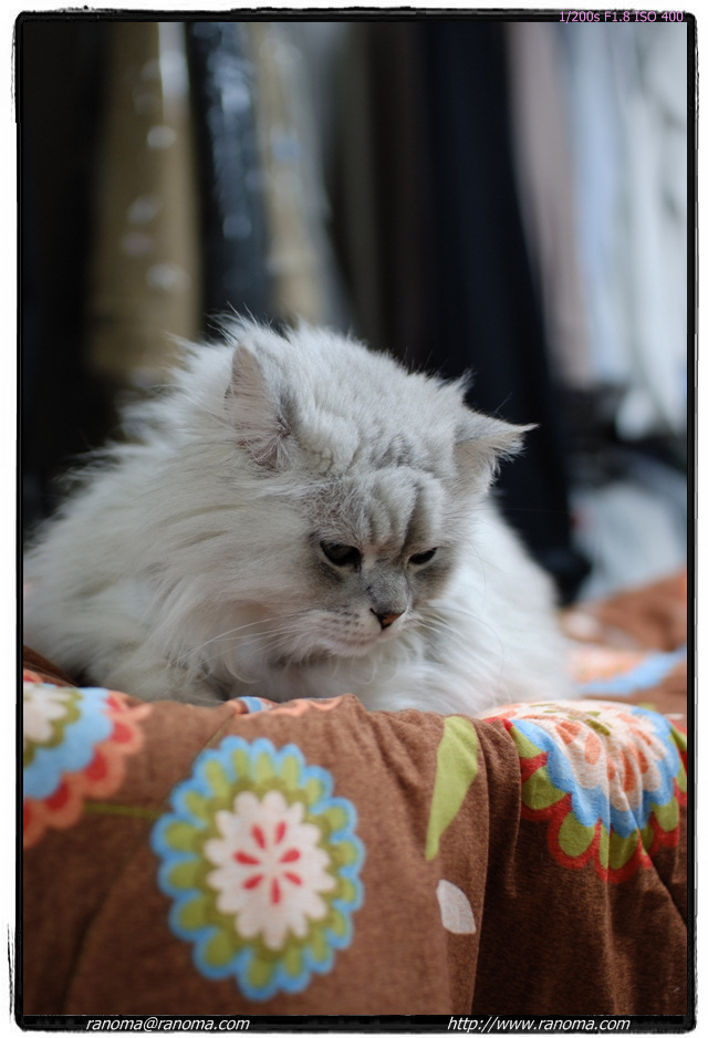 DSCF7125.jpg