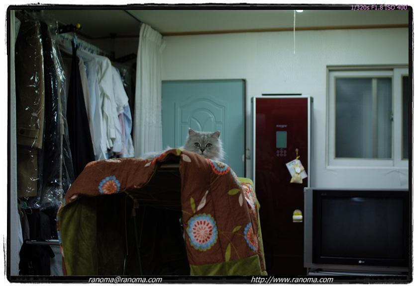DSCF7126.jpg