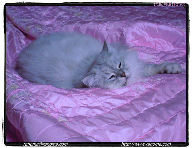 DSCN0088.jpg