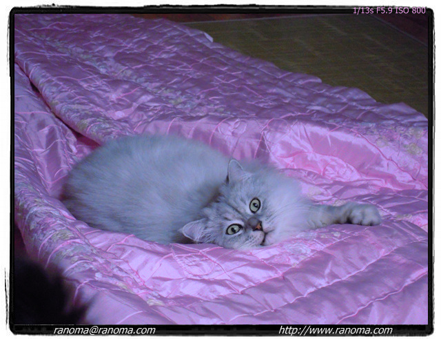 DSCN0090.jpg