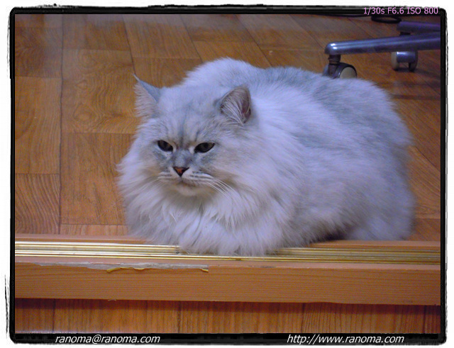 DSCN0092.jpg